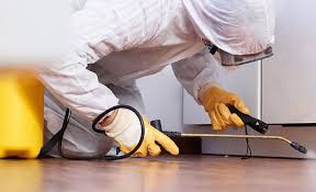 Best Real Estate Pest Inspections  in Liberty Lake, WA